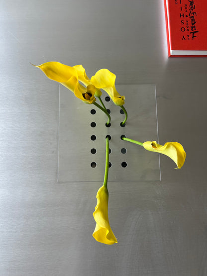 Low metal table. Hole with cover